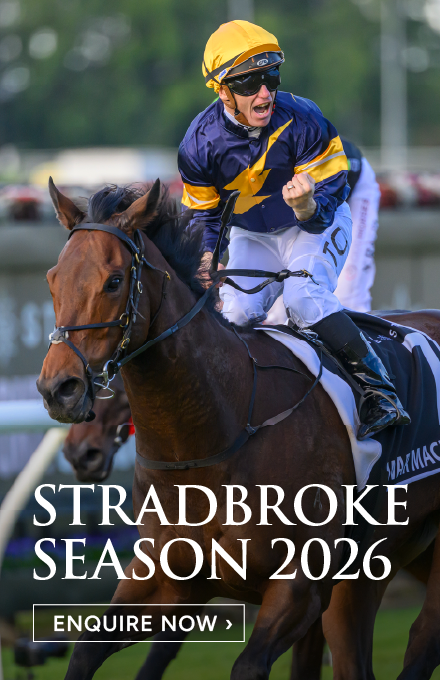 SS26_Homepage widget